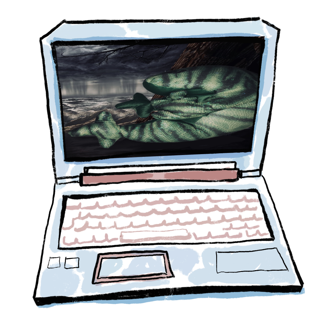 my computer